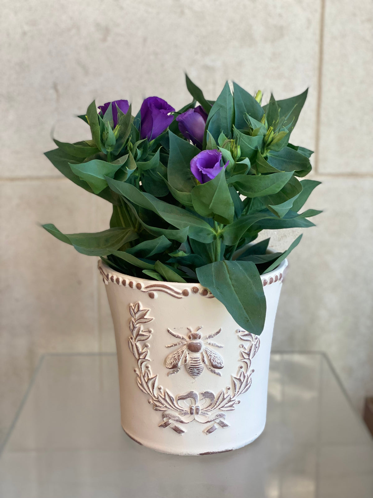 Embossed Bee Planter