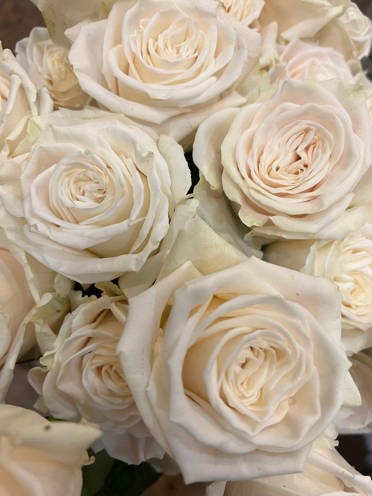 Dozen roses with seasonal accent flowers and fresh greenery, available as a hand-tied bouquet or vase arrangement.