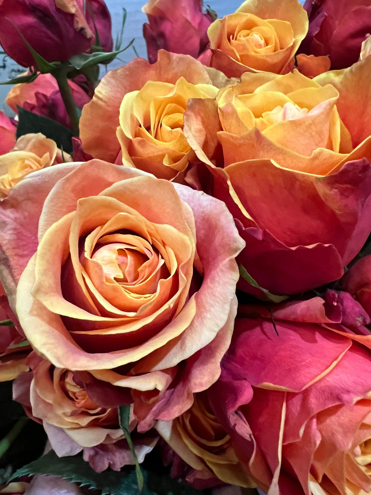 Dozen roses with seasonal accent flowers and fresh greenery, available as a hand-tied bouquet or vase arrangement.