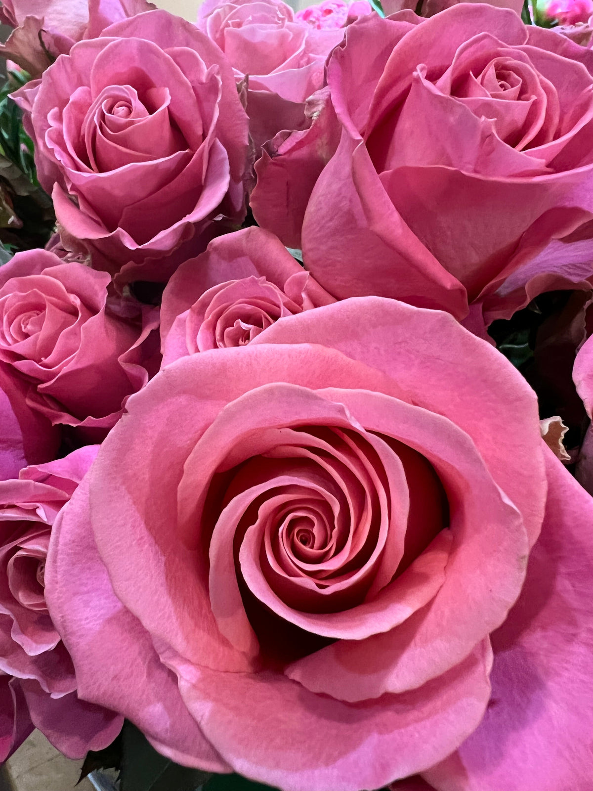 Dozen roses with seasonal accent flowers and fresh greenery, available as a hand-tied bouquet or vase arrangement.