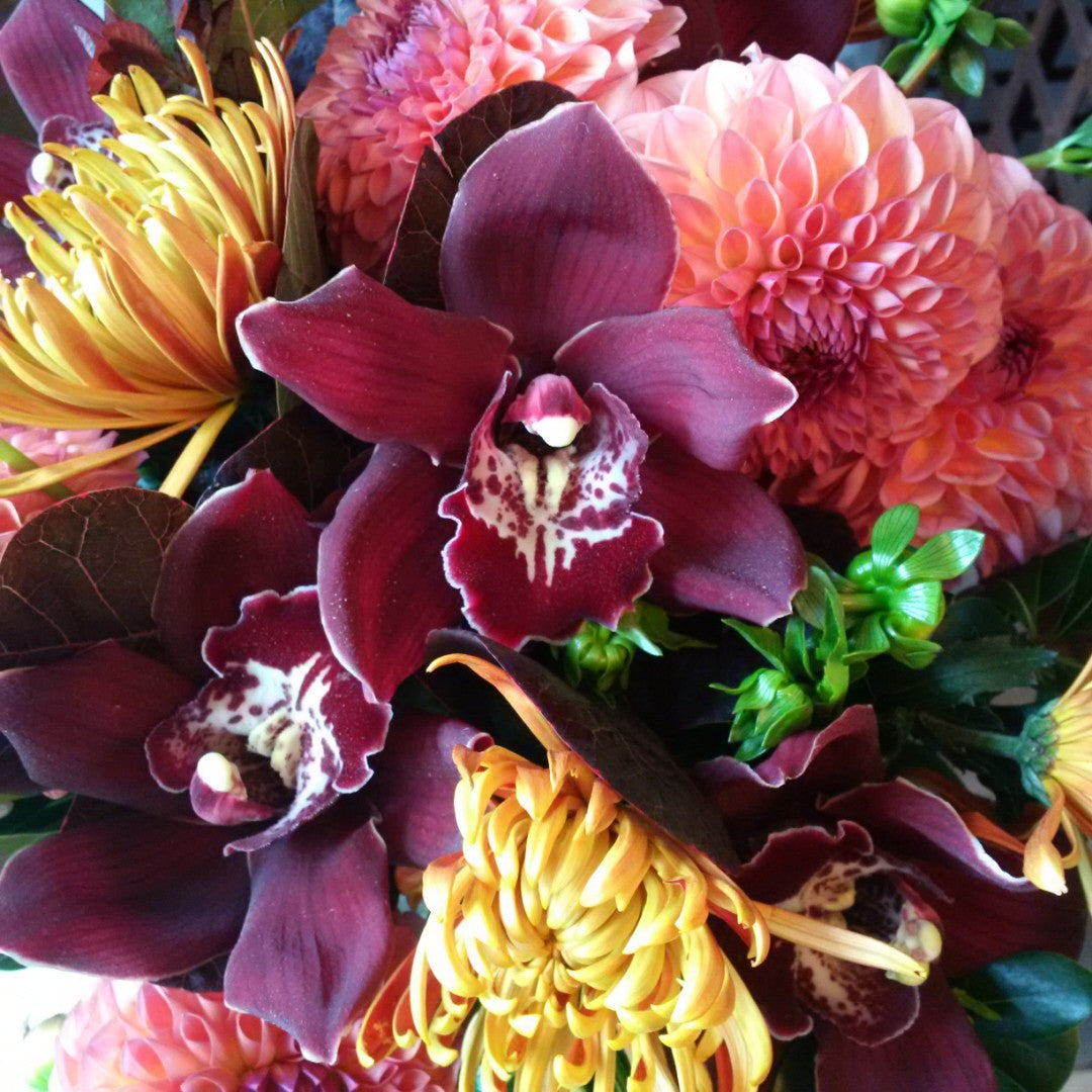 October Newsletter